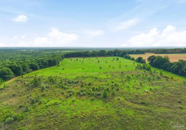 Photo 4 of Land for sale at 0100 Mineral Springs Rd, Jay, FL 32565 | MLS# 683747 | Listing updated on 2026-08-05