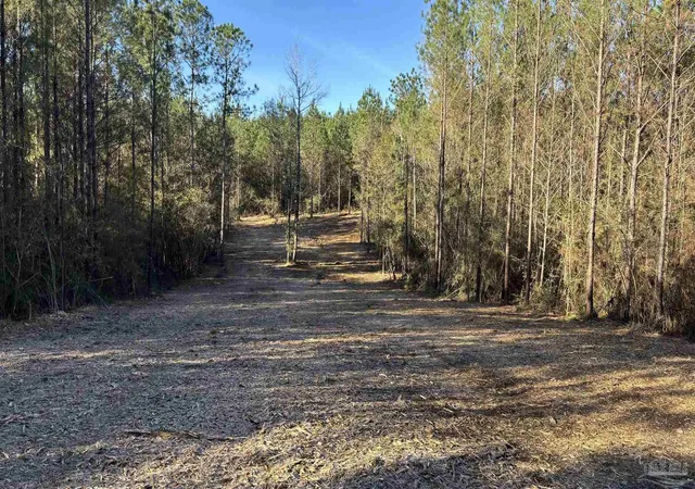 1st image of Lot 72 Straw Bridge Rd, Allentown, FL 32565 | MLS# 675106