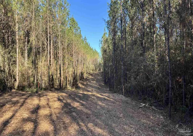2nd image of Lot 72 Straw Bridge Rd, Allentown, FL 32565 | MLS# 675106