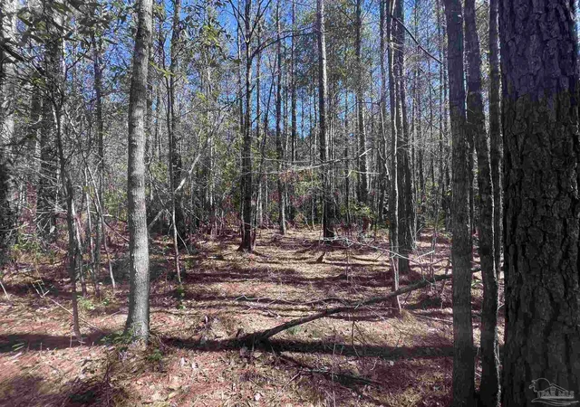Photo 26 of Land for sale at 10 Robinsonville Rd, Atmore, AL 36502 | MLS# 660565 | Listing updated on 2026-04-27