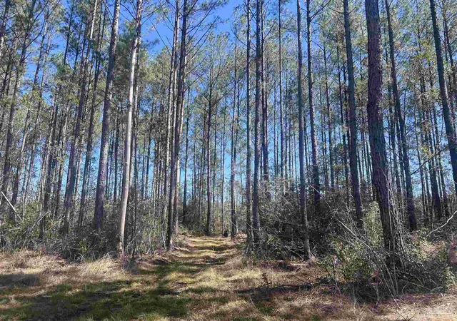 Photo 2 of Land for sale at 10 Robinsonville Rd, Atmore, AL 36502 | MLS# 660565 | Listing updated on 2026-04-27