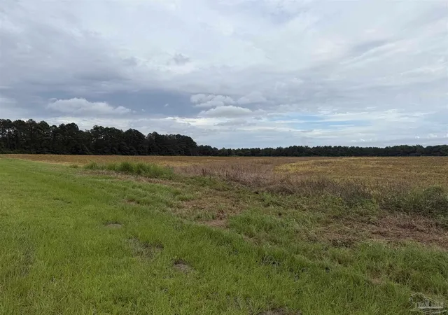 Homes for sale in Century, FL | 7600 Block Bratt Rd, Century, FL 32535 | MLS# 684479