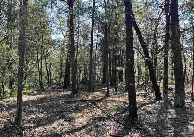 Photo 3 of Land for sale at 3700 Vantage Rd, Cantonment, FL 32533 | MLS# 677416 | Listing updated on 2026-08-29