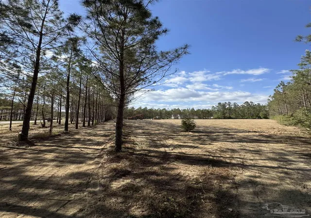 Homes for sale in Pace, FL | Lot 53 Sage Forest Ln, Pace, FL 32571 | MLS# 683848