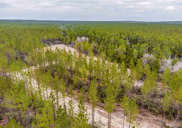 2nd image of 9318 Indian Ford Rd #44.23 Acres, Milton, FL 32570 | MLS# 659206