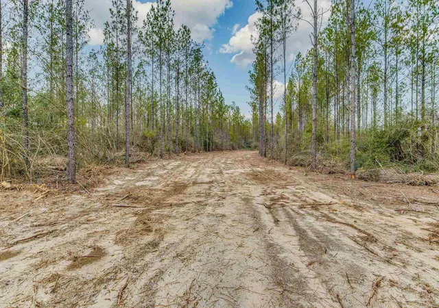 55th image of 9318 Indian Ford Rd #44.23 Acres, Milton, FL 32570 | MLS# 659206