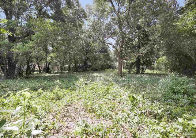 4th image of 1512 E Burgess Rd, Pensacola, FL 32504 | MLS# 684493