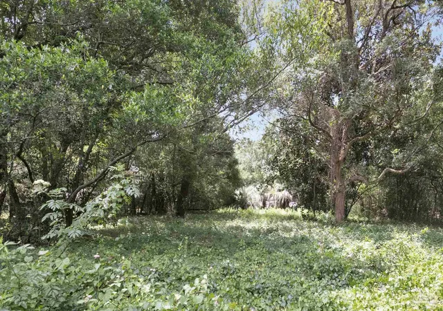 5th image of 1512 E Burgess Rd, Pensacola, FL 32504 | MLS# 684493