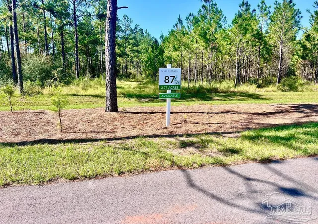 Homes for sale in Pace, FL | Lot 87 Pine Preserve Ln, Pace, FL 32571 | MLS# 677666