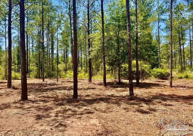 Homes for sale in Pace, FL | Lot 87 Pine Preserve Ln, Pace, FL 32571 | MLS# 677666