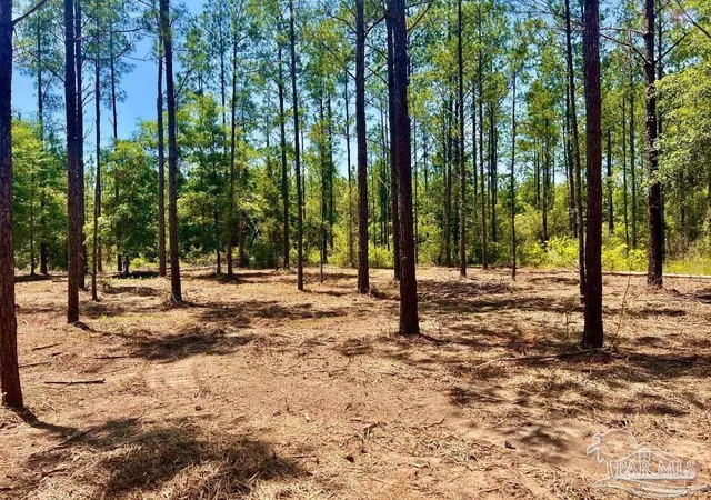 Homes for sale in Pace, FL | Lot 87 Pine Preserve Ln, Pace, FL 32571 | MLS# 677666