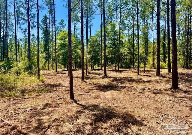 Homes for sale in Pace, FL | Lot 87 Pine Preserve Ln, Pace, FL 32571 | MLS# 677666