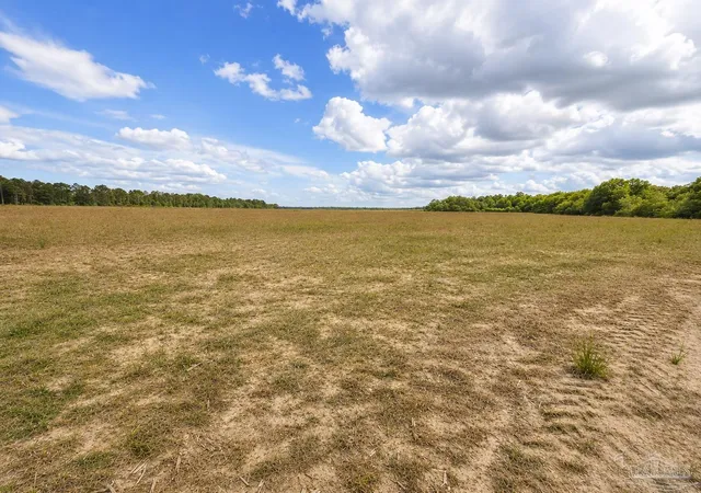 4th image of Lot 1 Tungoil Rd, Walnut Hill, FL 32568 | MLS# 683152