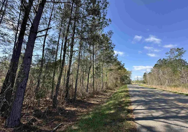 1st image of Lot A1 Snider Rd, Frisco City, AL 36445 | MLS# 680175