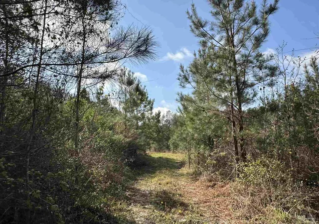 2nd image of Lot A1 Snider Rd, Frisco City, AL 36445 | MLS# 680175