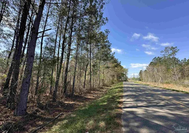 30th image of Lot A1 Snider Rd, Frisco City, AL 36445 | MLS# 680175