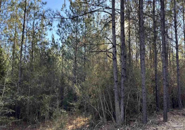 Photo 3 of Land for sale at Lot 71 Straw Brg Rd, Allentown, FL 32565 | MLS# 675105 | Listing updated on 2026-09-13