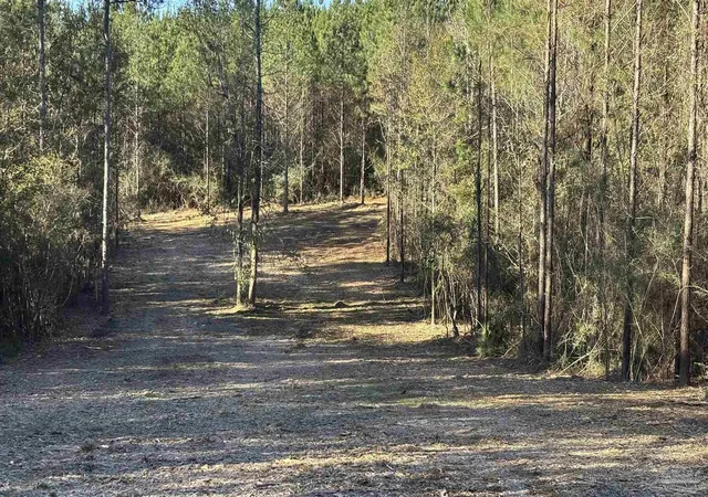 5th image of Lot 64 Straw Bridge Rd, Allentown, FL 32565 | MLS# 675095
