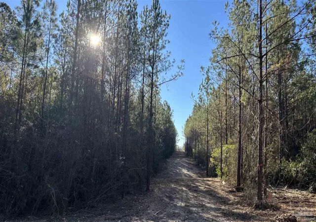 6th image of Lot 64 Straw Bridge Rd, Allentown, FL 32565 | MLS# 675095