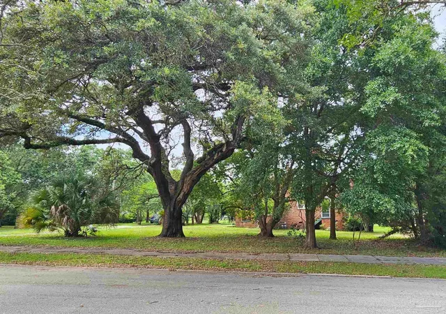 4th image of 1000 Blk N Palafox, Pensacola, FL 32501 | MLS# 684864