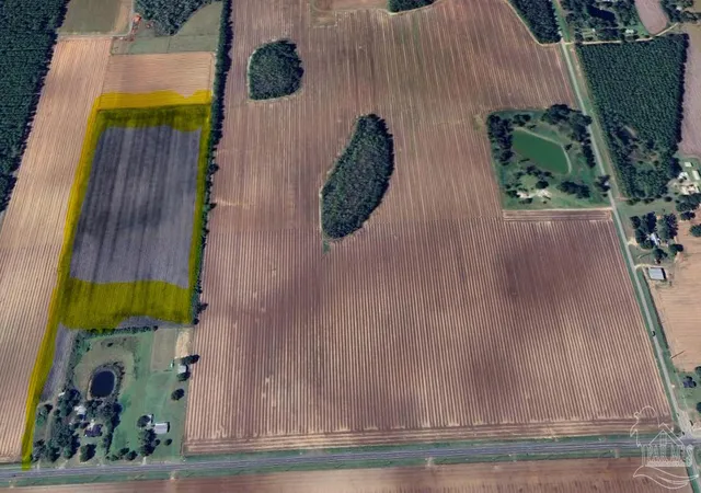 Photo 1 of Land for sale at 000 Highway 89, Milton, FL 32570 | MLS# 682814 | Listing updated on 2026-08-28