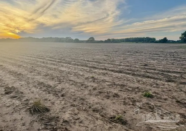 Photo 3 of Land for sale at 000 Highway 89, Milton, FL 32570 | MLS# 682814 | Listing updated on 2026-08-28