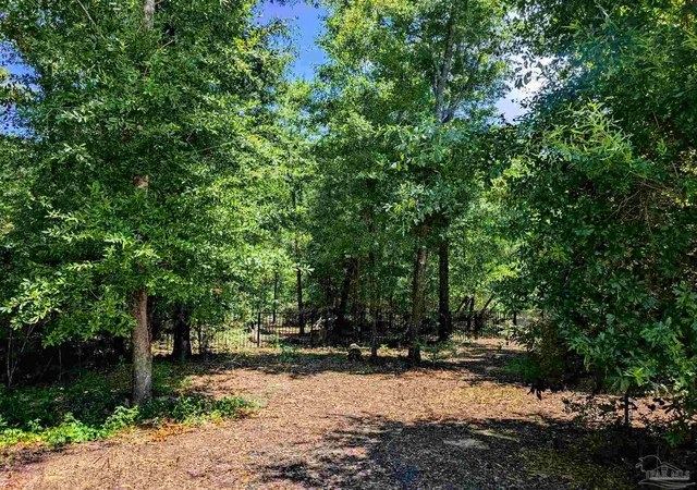 Photo 55 of Single family home for sale at 3056 Mountain Laurel Tr, Cantonment, FL 32533 | MLS# 688264 | Listing updated on 2026-09-12