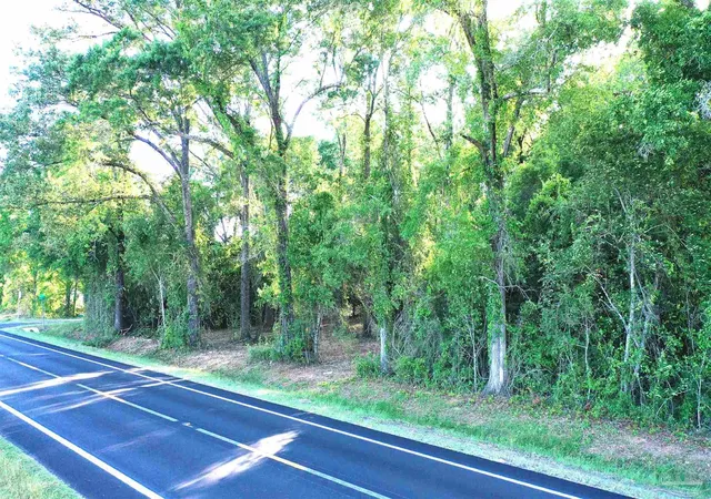 Photo 1 of Land for sale at 0 Highway 87, Jay, FL 32565 | MLS# 681154 | Listing updated on 2026-08-24