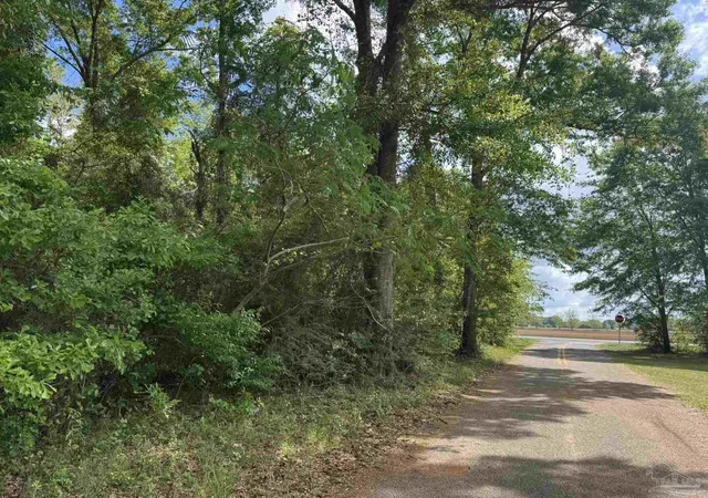 Photo 2 of Land for sale at 0 Highway 87, Jay, FL 32565 | MLS# 681154 | Listing updated on 2026-08-24