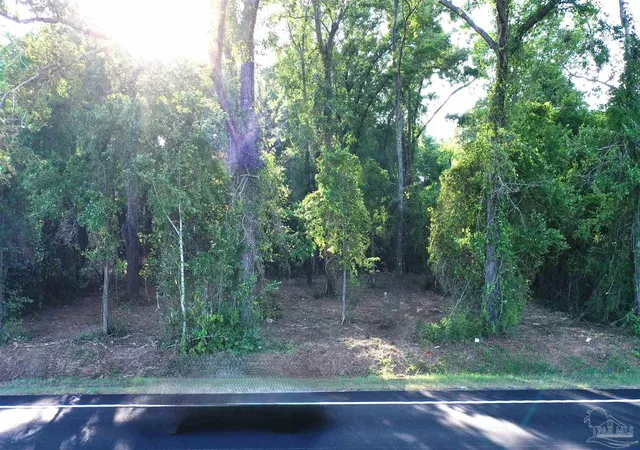 Photo 4 of Land for sale at 0 Highway 87, Jay, FL 32565 | MLS# 681154 | Listing updated on 2026-08-24