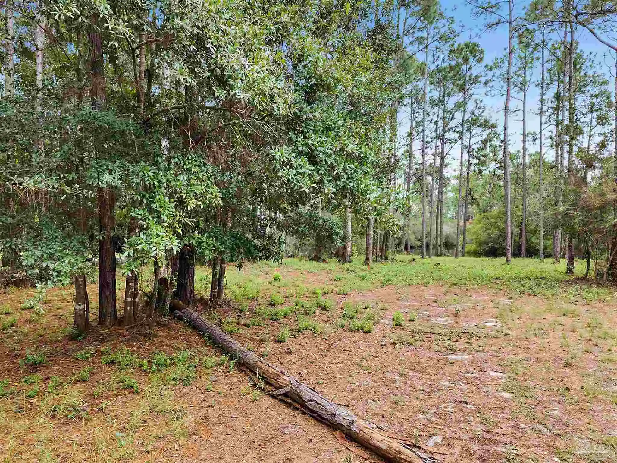 Photo 1 of Land for sale at 12209 Ailanthus Ct, Pensacola, FL 32506 | MLS# 690337 | Listing updated on 2026-10-21