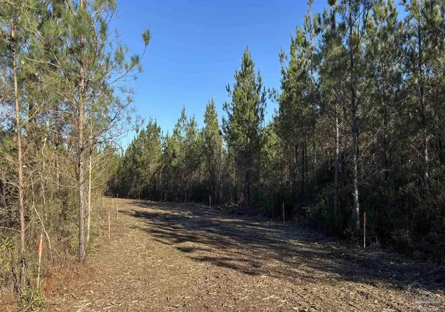 Homes for sale in Jay, FL | Lot 55 Straw Bridge Rd, Jay, FL 32565 | MLS# 675034