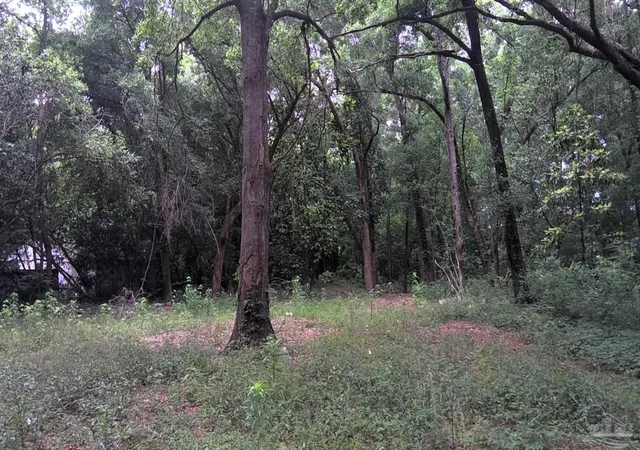 Photo 2 of Land for sale at 1310 Burgess Rd, Pensacola, FL 32504 | MLS# 685177 | Listing updated on 2026-06-30
