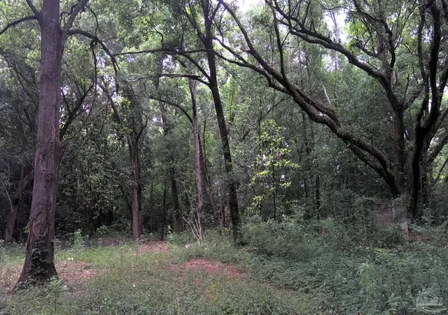 Photo 3 of Land for sale at 1310 Burgess Rd, Pensacola, FL 32504 | MLS# 685177 | Listing updated on 2026-06-30