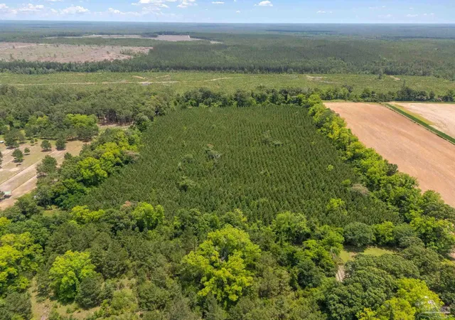 14th image of 0000 Lewis Rd, Milton, FL 32570 | MLS# 664612