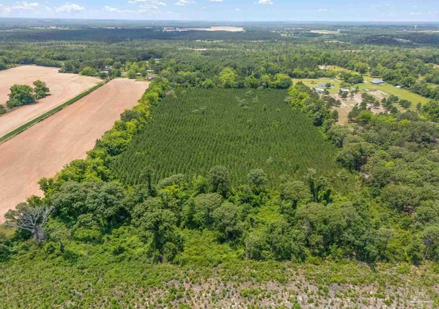 4th image of 0000 Lewis Rd, Milton, FL 32570 | MLS# 664612