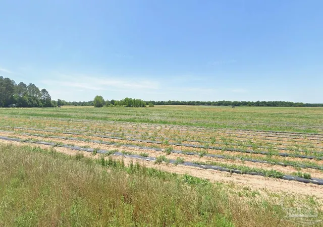 1st image of 0 Russell Wade Rd, Jay, FL 32565 | MLS# 680396