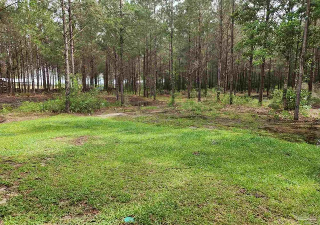 Homes for sale in Jay, FL | 1971 Pineview Church Rd, Jay, FL 32565 | MLS# 684999