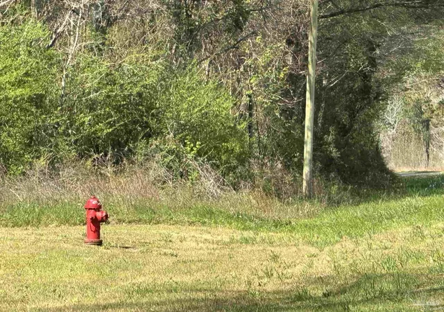 3rd image of 11 Ac Snider Rd, Frisco City, AL 36445 | MLS# 685457