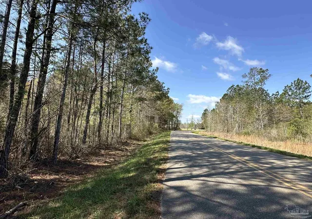 8th image of 11 Ac Snider Rd, Frisco City, AL 36445 | MLS# 685457