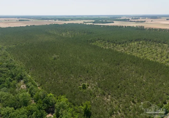 Photo 1 of Land for sale at 11 Bud Diamond Rd, Jay, FL 32565 | MLS# 660990 | Listing updated on 2026-06-12