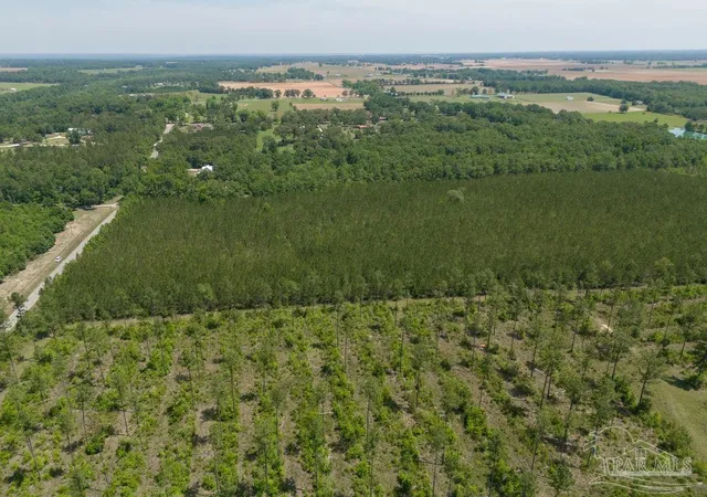 Photo 2 of Land for sale at 11 Bud Diamond Rd, Jay, FL 32565 | MLS# 660990 | Listing updated on 2026-06-12