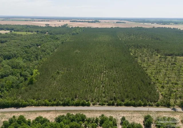 Photo 3 of Land for sale at 11 Bud Diamond Rd, Jay, FL 32565 | MLS# 660990 | Listing updated on 2026-06-12