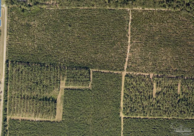 Photo 3 of Land for sale at 11 Bud Diamond Rd, Jay, FL 32565 | MLS# 660990 | Listing updated on 2026-06-12