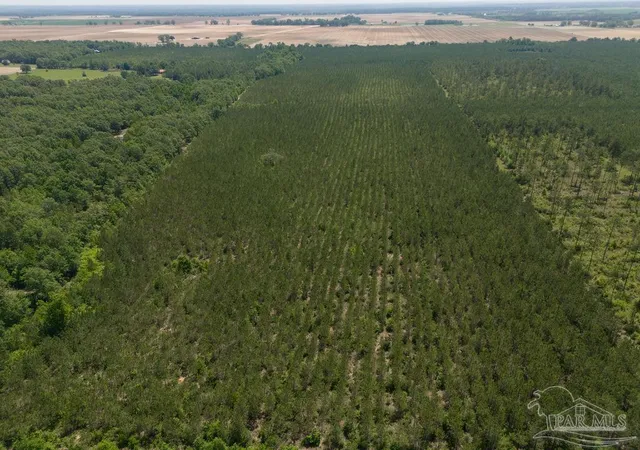 Photo 4 of Land for sale at 11 Bud Diamond Rd, Jay, FL 32565 | MLS# 660990 | Listing updated on 2026-06-12