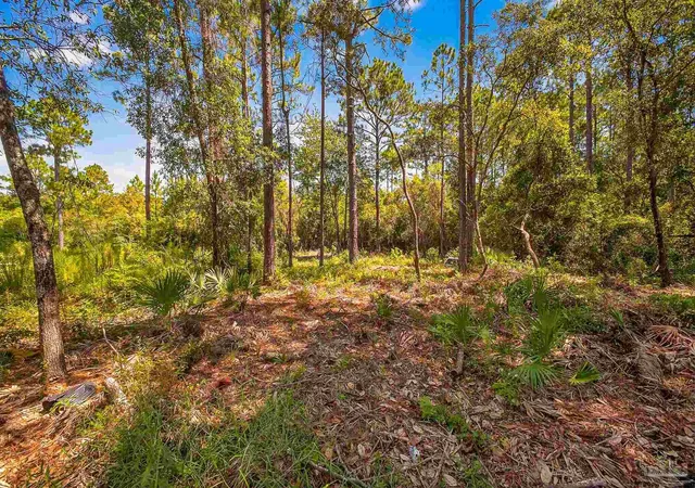 5th image of 5652 Bay Forest Dr, Pensacola, FL 32526 | MLS# 670204