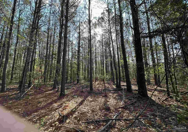 3rd image of Parcel J Lett Rd, Frisco City, AL 36445 | MLS# 680302