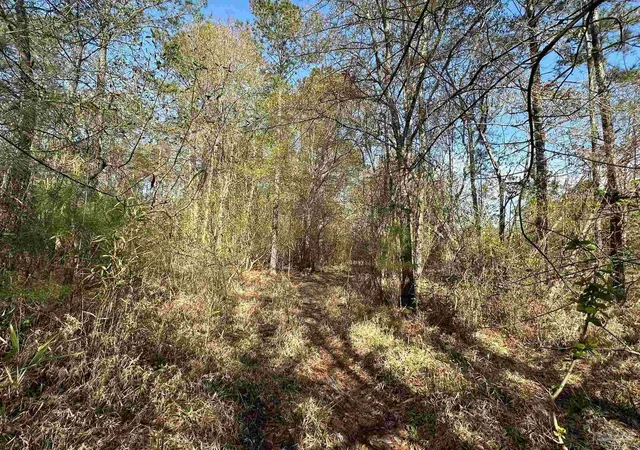 4th image of Parcel J Lett Rd, Frisco City, AL 36445 | MLS# 680302