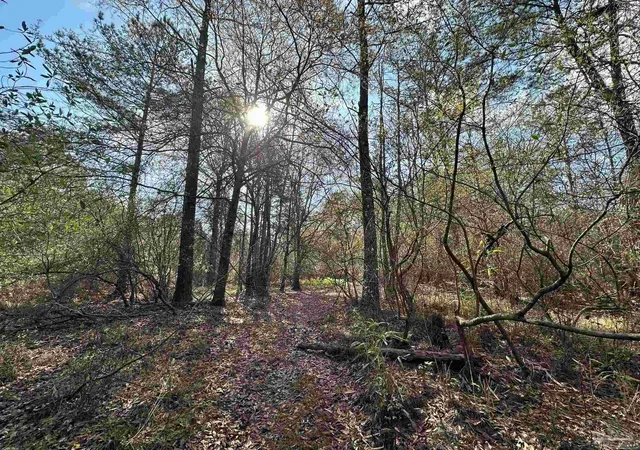 5th image of Parcel J Lett Rd, Frisco City, AL 36445 | MLS# 680302