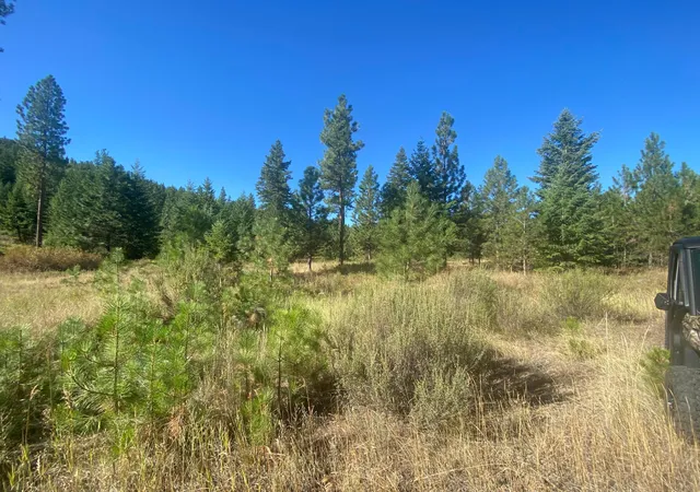 Homes for sale in Plains, MT | Lot 30 Bighorn, Plains, MT 59859 | MLS# 22213139